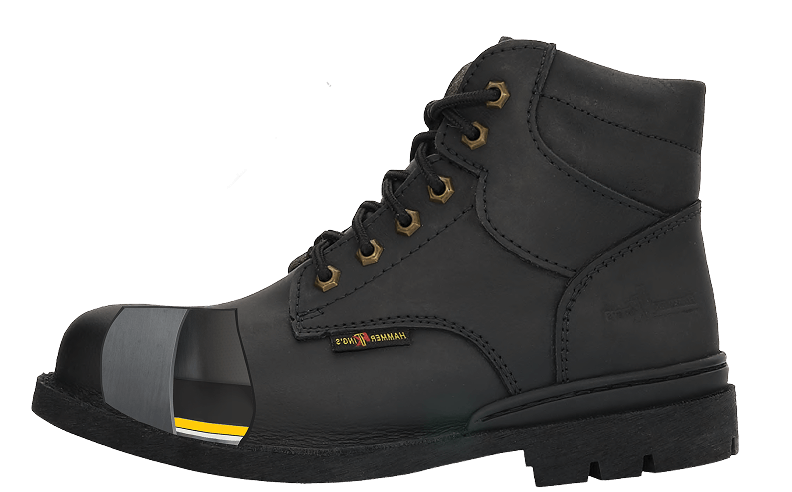 anatomy shoe